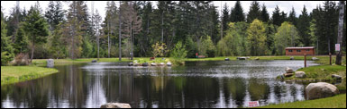 Seal Bay RV Park