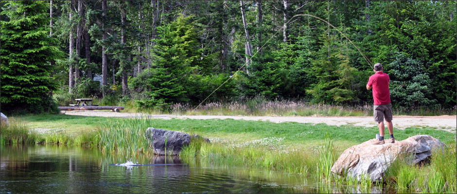 Fishing Pond Comox Valley