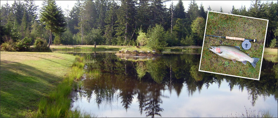 Fishing Pond Seal Bay RV Park